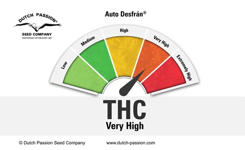 Auto Desfran cannabinoids and terpenes